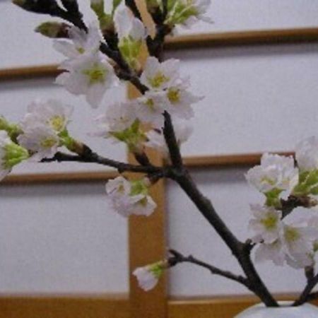 Wakaba Ryokan / Vacation Stay 29366 酒田市 エクステリア 写真